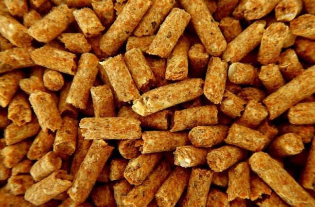 Good feeding means faster growth, bigger litters and fewer losses. Here's what to feed your rabbits and what to keep out of their cages.