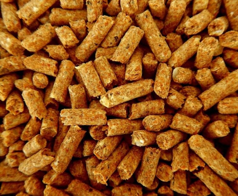 Good feeding means faster growth, bigger litters and fewer losses. Here's what to feed your rabbits and what to keep out of their cages.