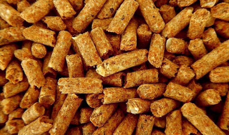 Good feeding means faster growth, bigger litters and fewer losses. Here's what to feed your rabbits and what to keep out of their cages.